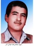 محمدرضا میداندار