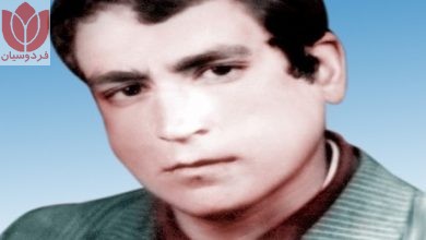 Photo of شهید سید محمد شعفی